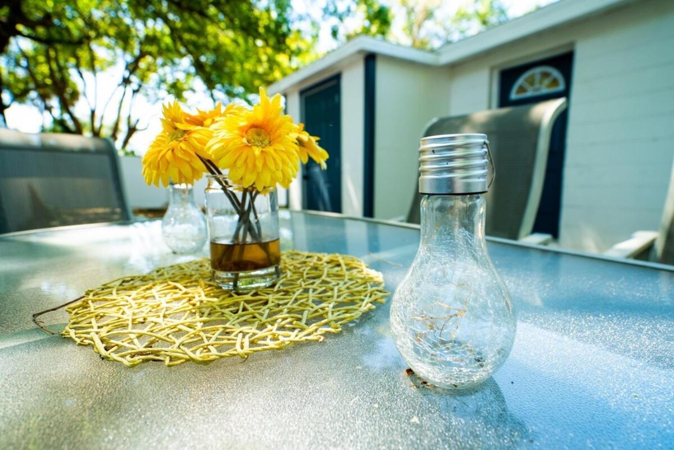 Tranquil & Fully Renoveted Near Busch Gardens Holiday home *